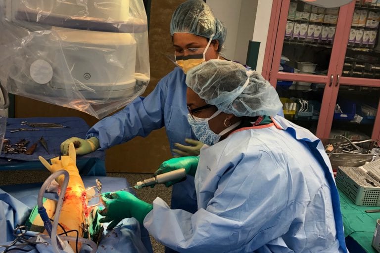 Surgical team performing operation